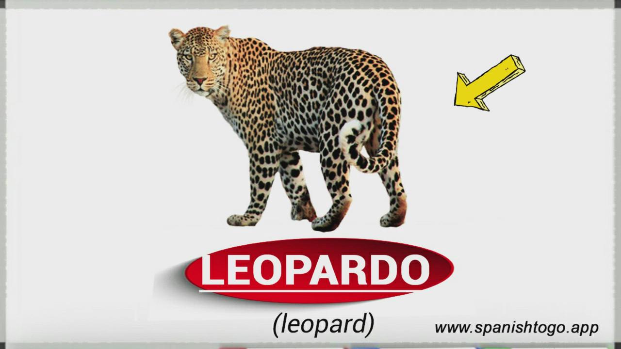 'Video thumbnail for Animals in Spanish'