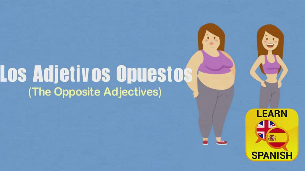 'Video thumbnail for Adjectives in Spanish Translation'