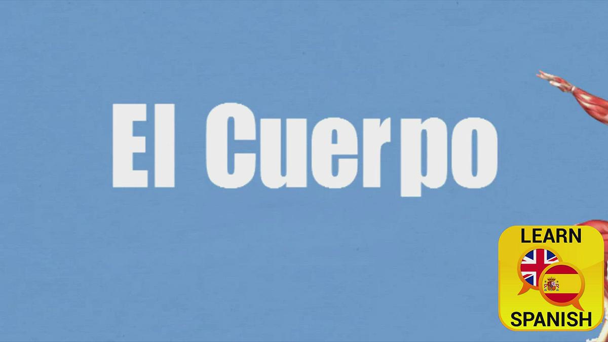 'Video thumbnail for Body Part in Spanish'