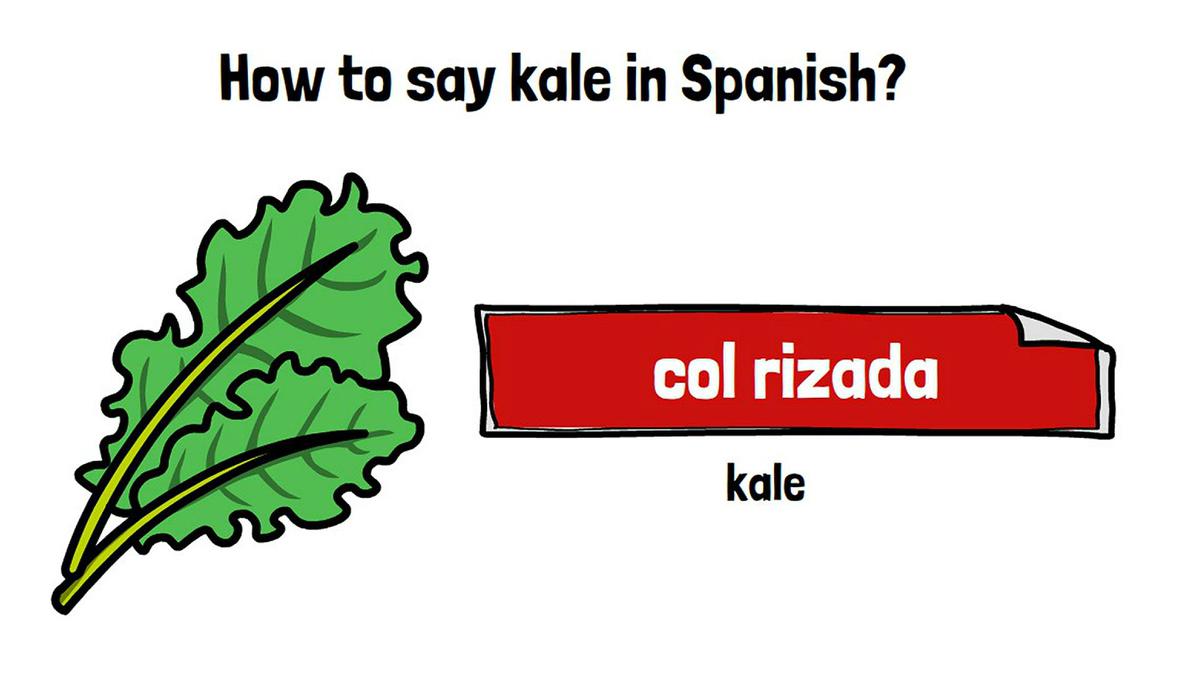 'Video thumbnail for Kale in Spanish'