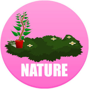 Nature Elements in Spanish
