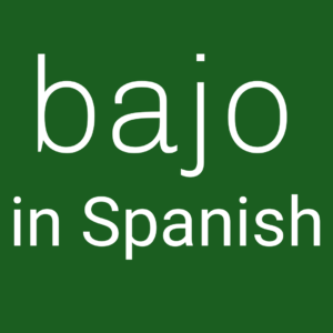 Read more about the article Bajo in Spanish
