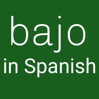 Bajo in Spanish