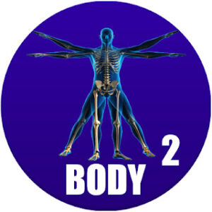 Read more about the article Body Parts in Spanish