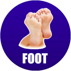 foot in Spanish
