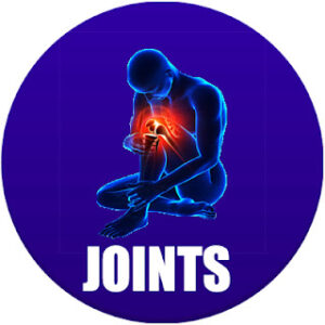 joints in the body in spanish