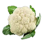 cauliflower in spanish