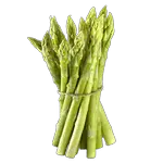 asparagus in spanish