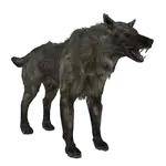 wolf in spanish