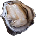 oyster in spanish