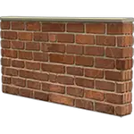 wall