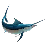 swordfish sea animals