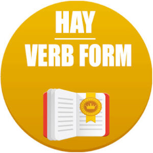 hay verb form in Spanish