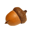 acorn thanksgiving day