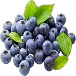 blueberry in spanish