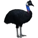 ostrich in spanish
