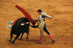 bull fighting spanish speaking countries