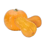 pumpkin in spanish