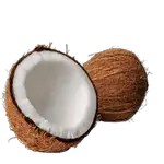 coconut in spanish