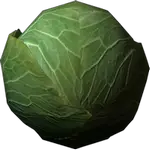 cabbage in spanish