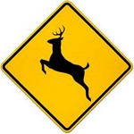 deer crossing Traffic Signs in Spanish