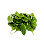 spinach in spanish