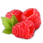 raspberry in spanish