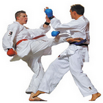 karate sports in spanish