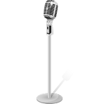 microphone in spanish