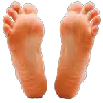 feet in spanish