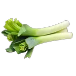 leek in spanish