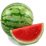 watermelon in Spanish