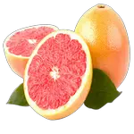 grapefruit