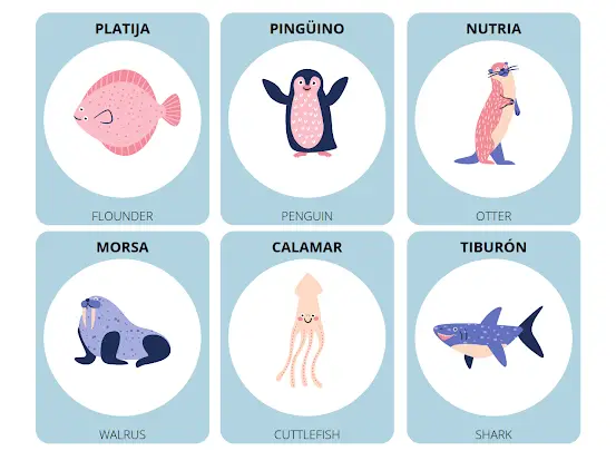 ocean animals in Spanish
