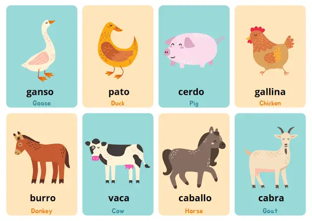 funny animals in Spanish