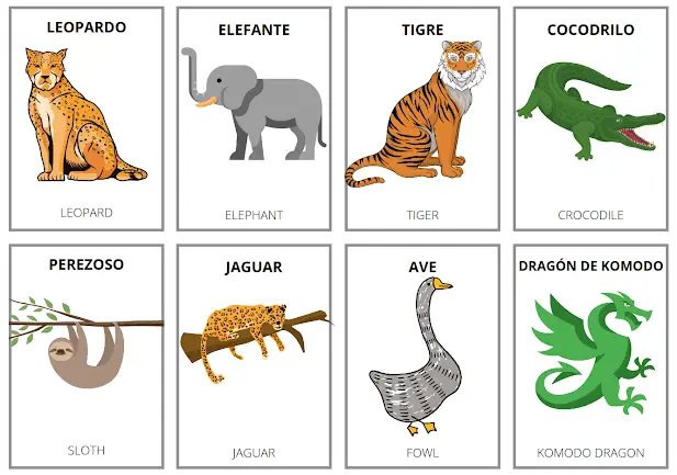 animals flashcards translation