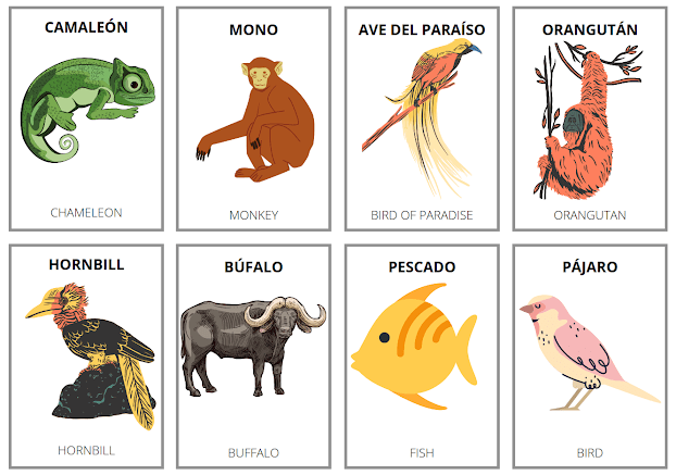 the animals flashcards