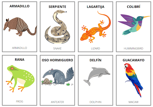 animals in Spanish
