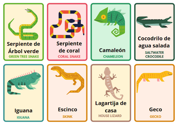 animals in Spanish, flashcards