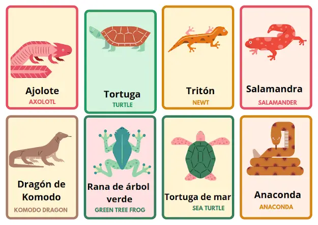 Reptiles Flashcards in Spanish