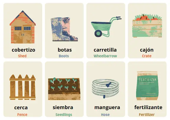 Things in the Garden Flashcards in Spanish
