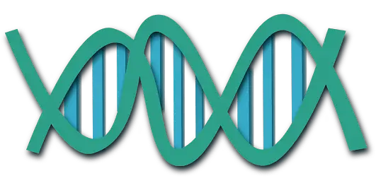 Genes in Spanish