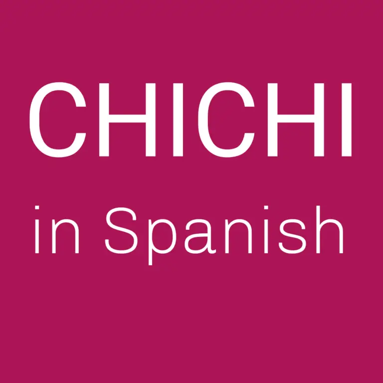 What Does Chichi Mean