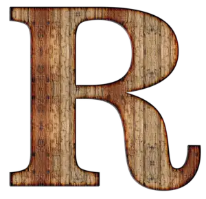 Read more about the article Spanish Adjectives that Start with R