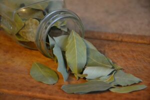Read more about the article Bay Leaf in Spanish
