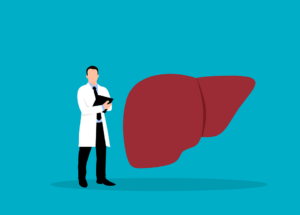 Read more about the article Liver in Spanish Translation