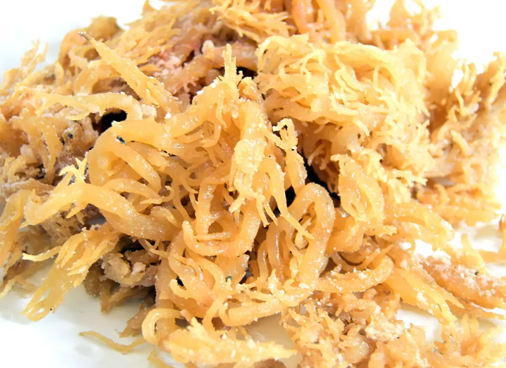 what is sea moss good for