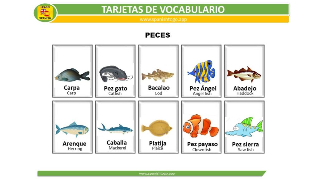 types of fish flashcards