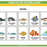 types of fish flashcards