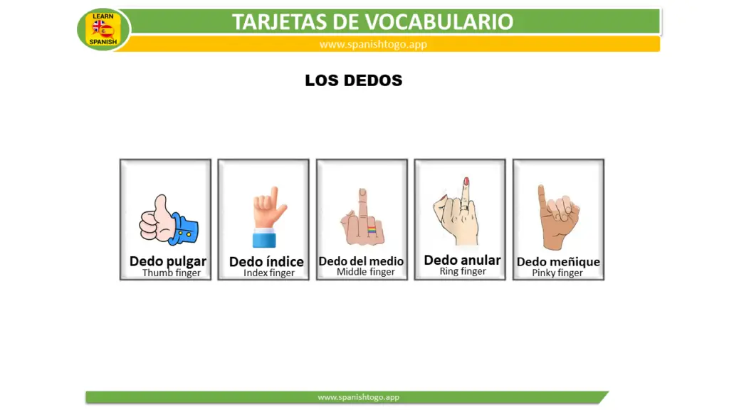 finger in Spanish